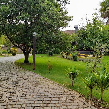 Quinta Do Bosque Villa Vagos Luaran gambar